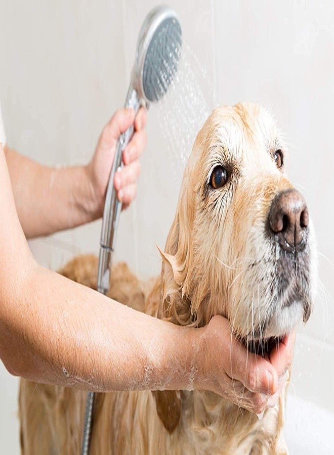 DOGTOWN Oh My Dog Oatmeal & Itch Relief Ultimate Pet Shampoo - Paraben Free, (1000ML, Berry and Coconut) - Image 2